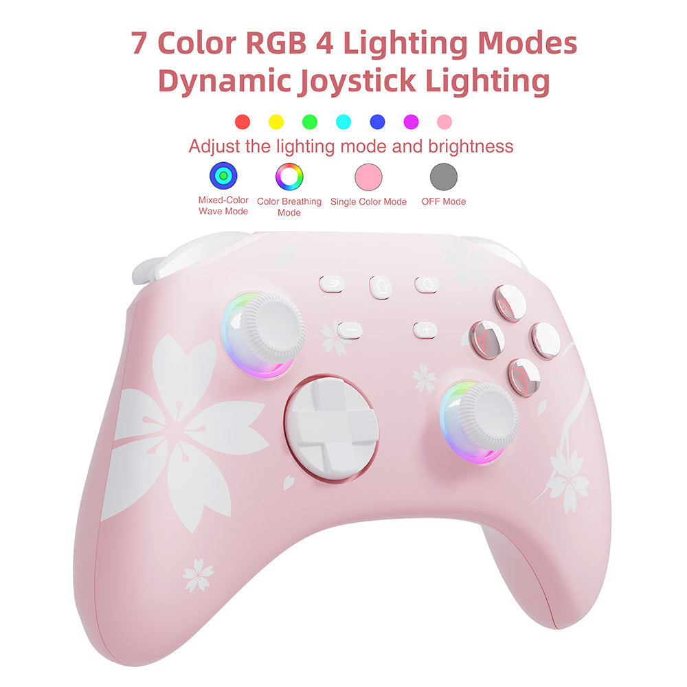 Pro Wireless Controller