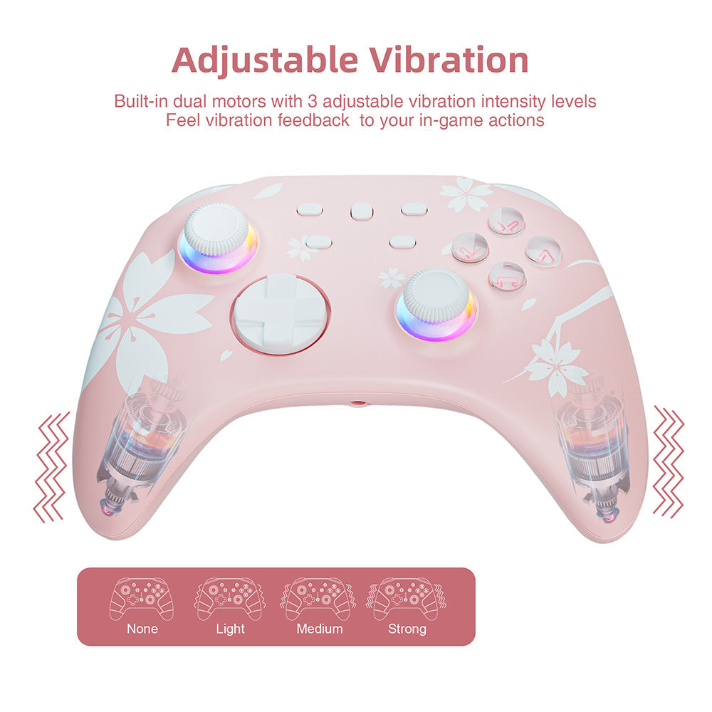 Pro Wireless Controller