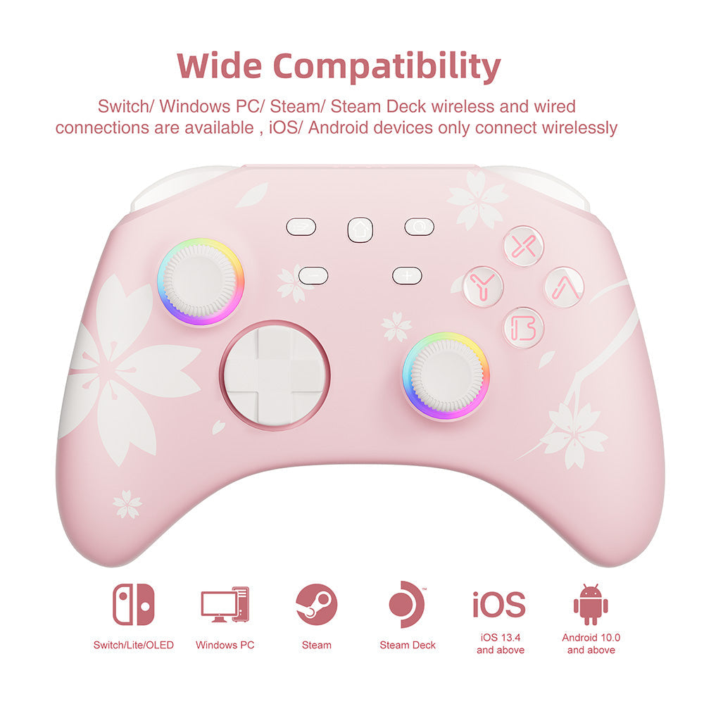 Pro Wireless Controller