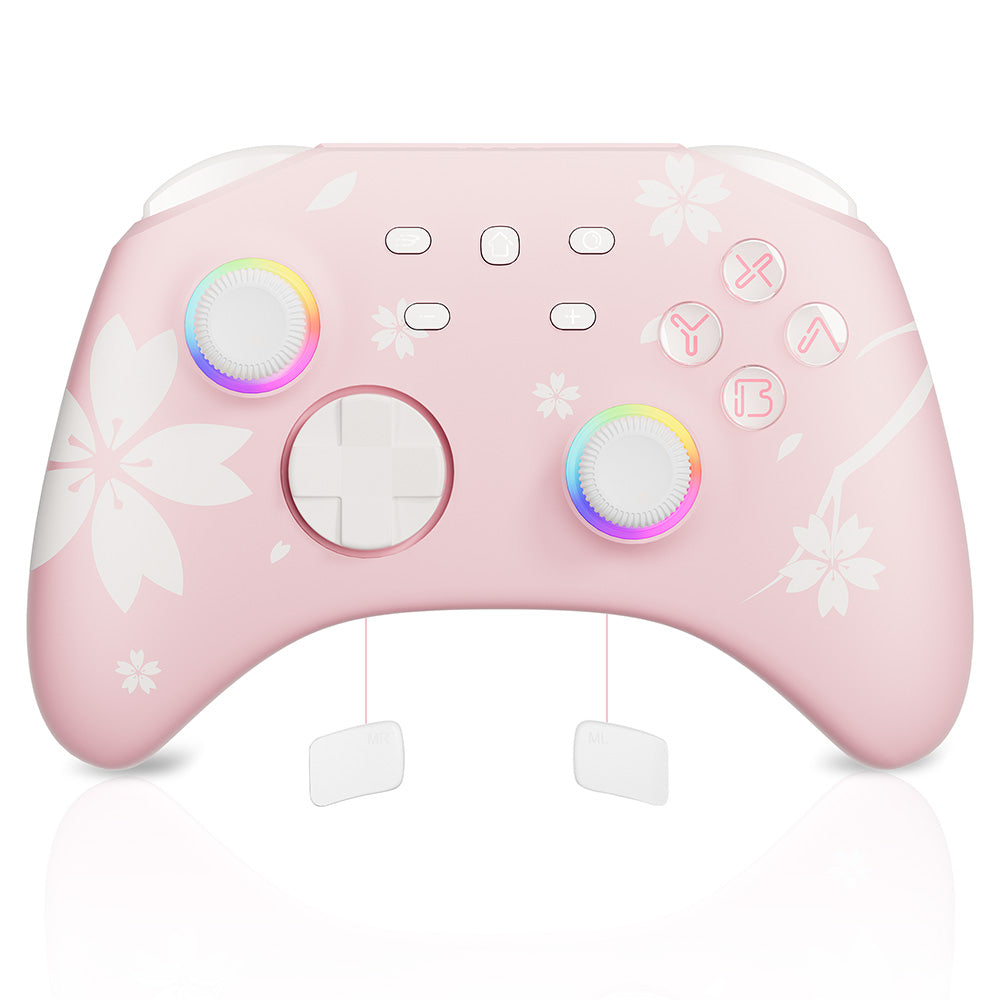 Pro Wireless Controller