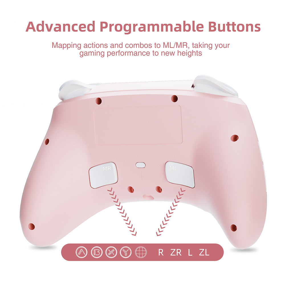 Pro Wireless Controller