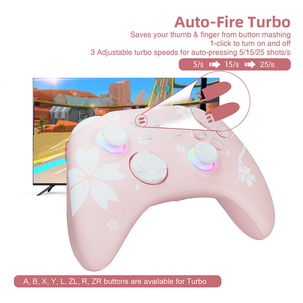 Pro Wireless Controller