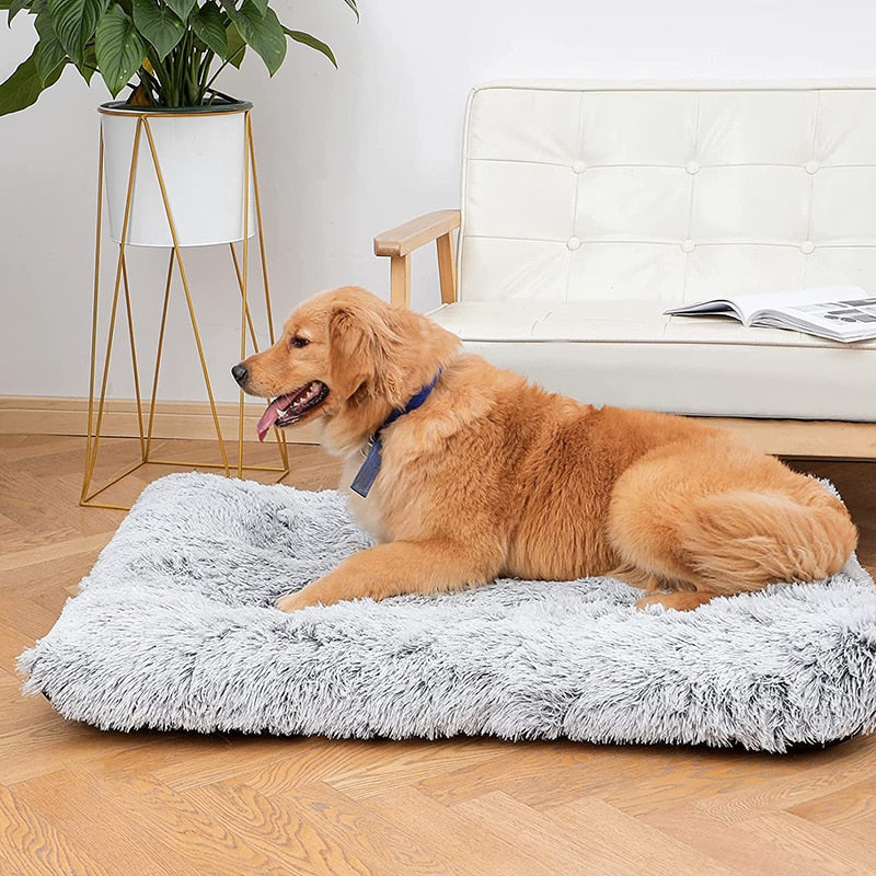 Ultimate Plush Pet Bed