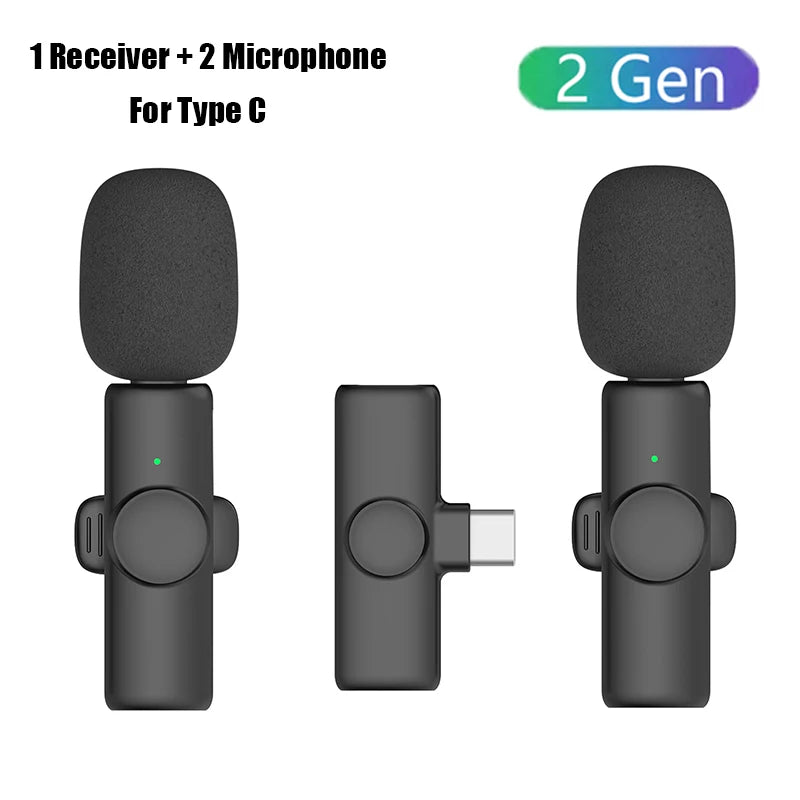 Professional Wireless Microphone