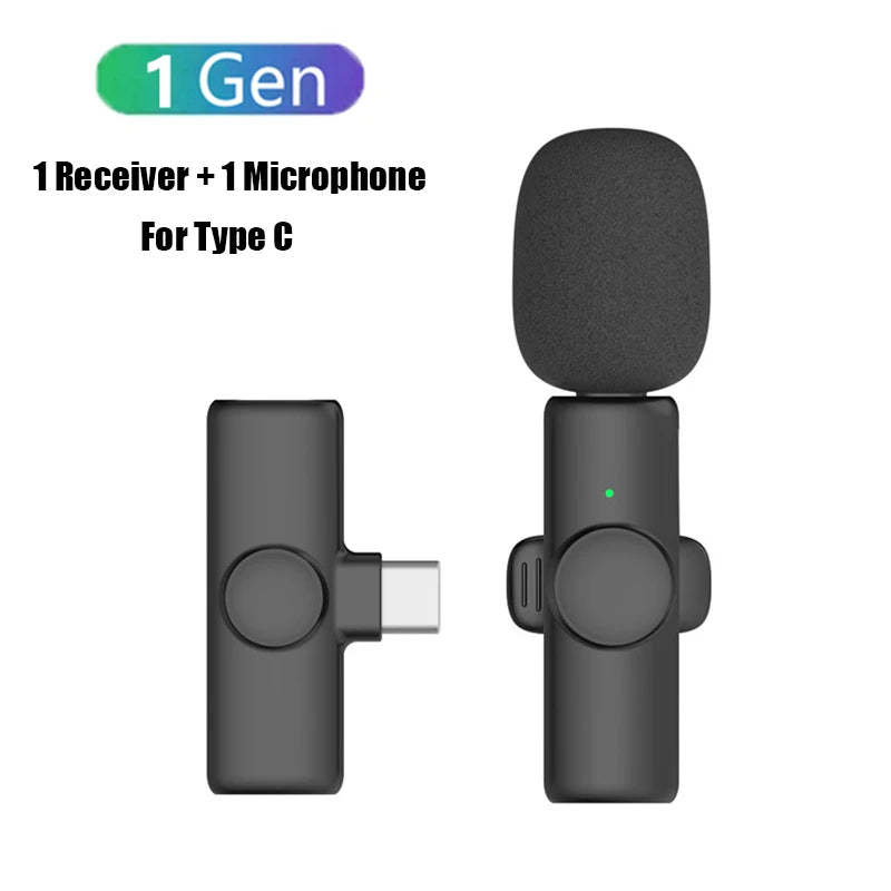 Professional Wireless Microphone