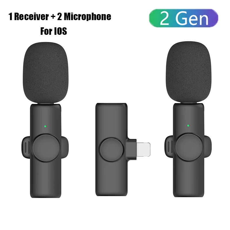 Professional Wireless Microphone