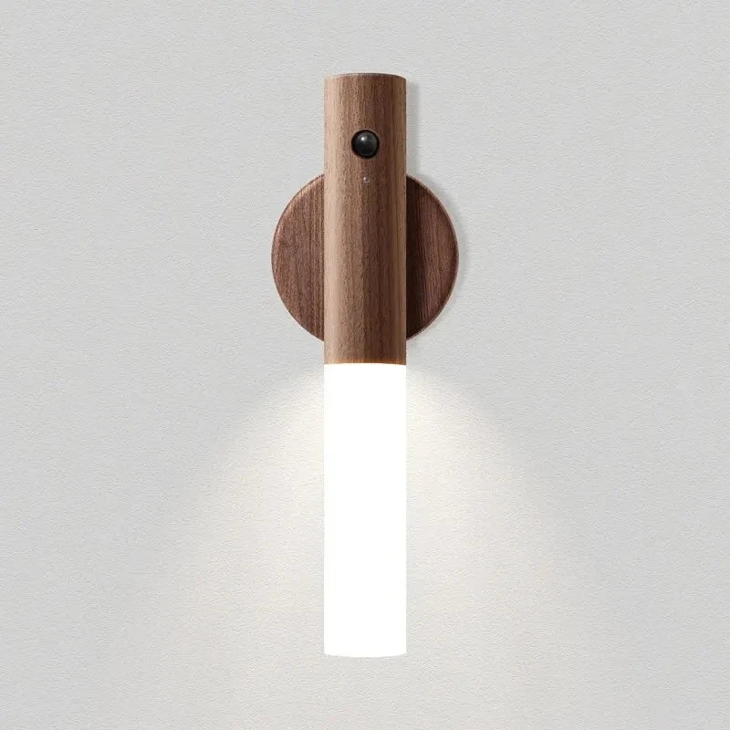 Portable LED Magnetic Sensor Light