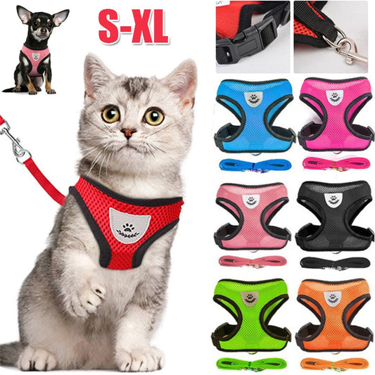 Cat & Dog Harness